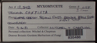 Image Associated With the Occurence